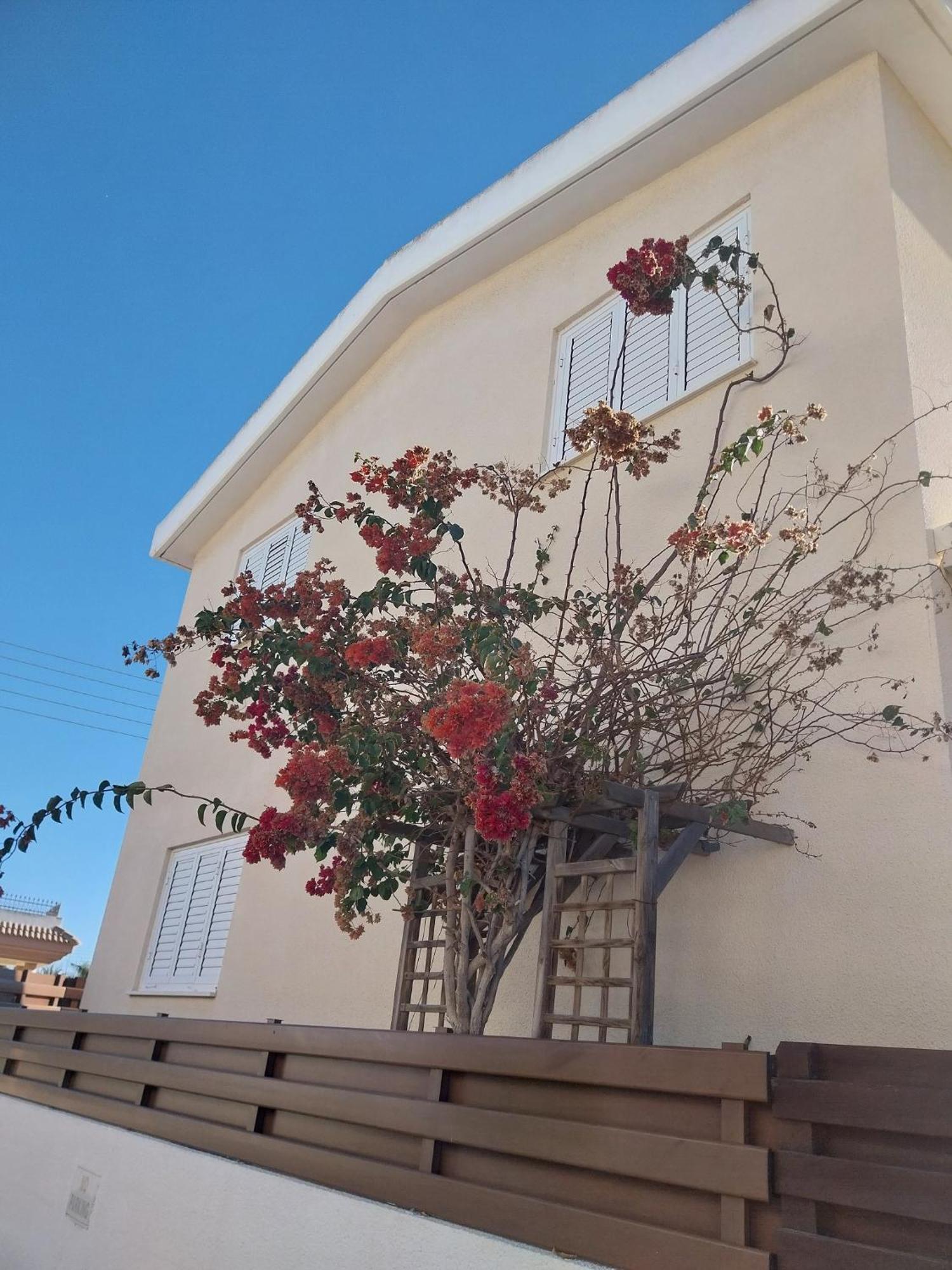 Poppy Villa