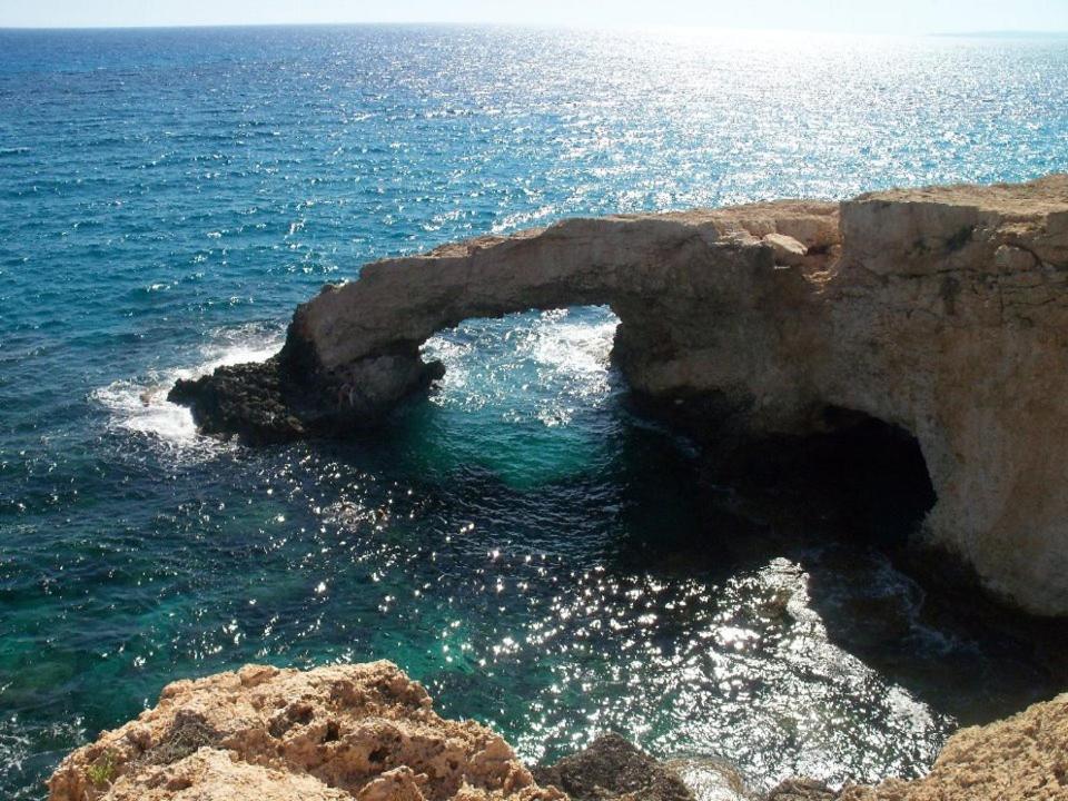 Poppy * Paralimni